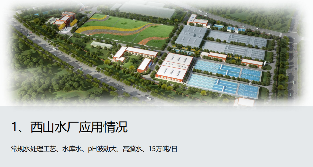 Bebur巴倍尔流动电流检测仪在厦门西山水厂的应用